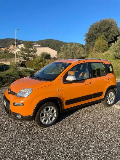Fiat Panda usata disponibile a Catanzaro